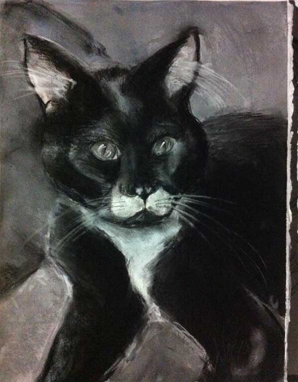 cat portrait